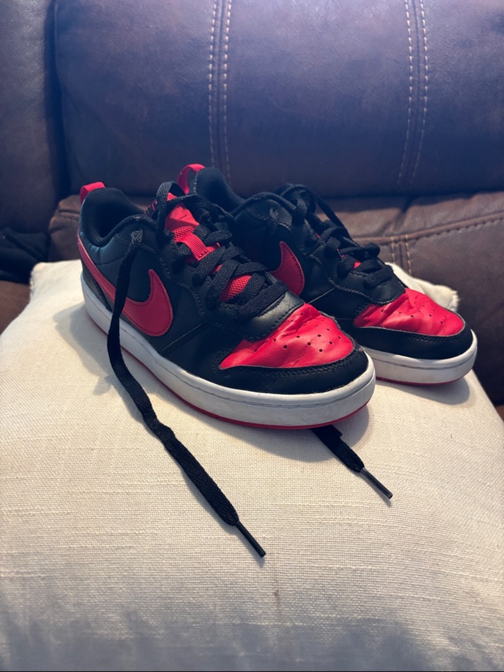 Nike Dunks Low Top Sneakers - Black & Red Accents